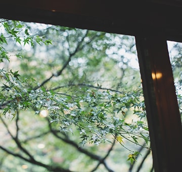 窓辺の自然の画像