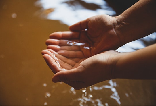 温泉を掬っている画像